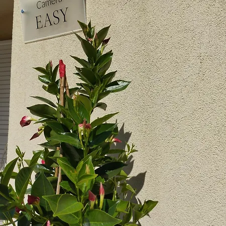 Bed and breakfast Cangiano And Pool