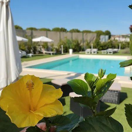 Bed & Breakfast Cangiano And Pool Osimo
